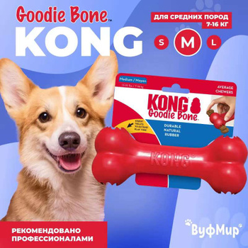 A kong outlet