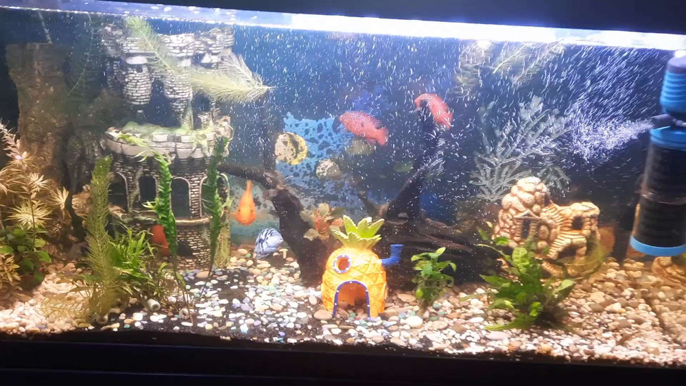 Светильник для аквариума FLOS PRO 300 WRGB 30 - 45 см 24W, IP68 с ...