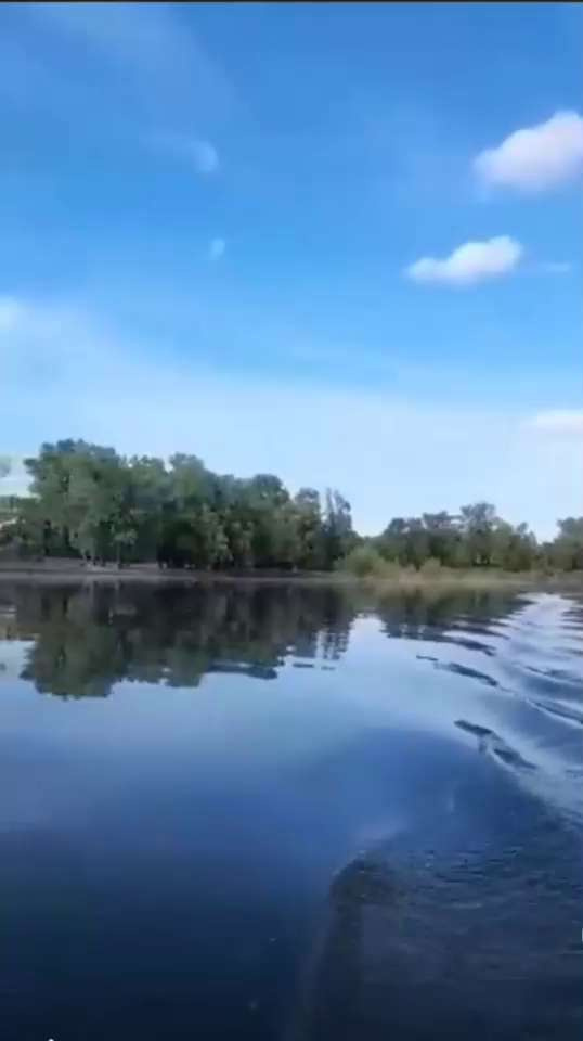 Лодочный мотор для лодки пвх бензиновый двухтактный Flaizer FZ4HS 4 л.с ...